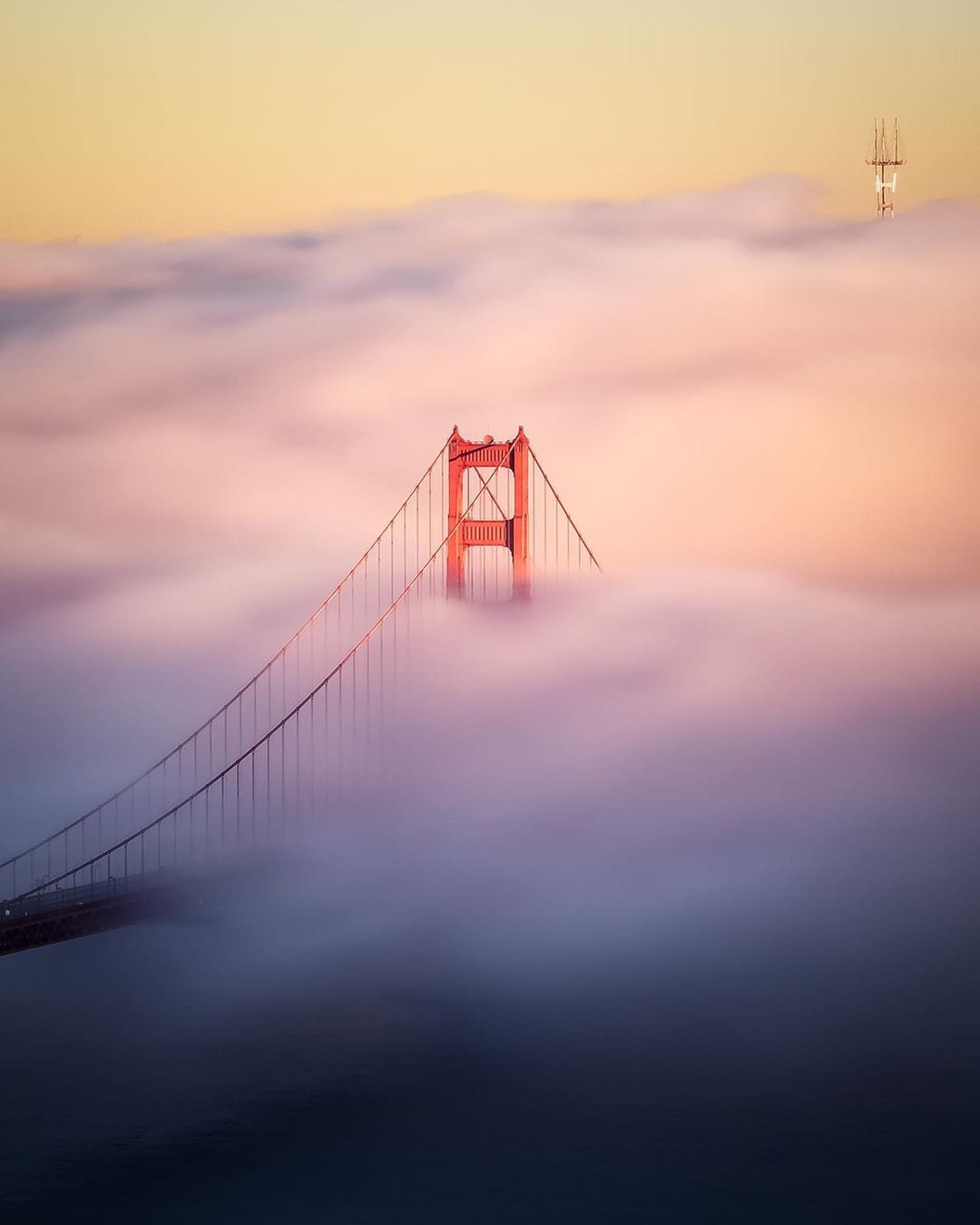Golden Gate Bridge and Sutro Tower above the fog
